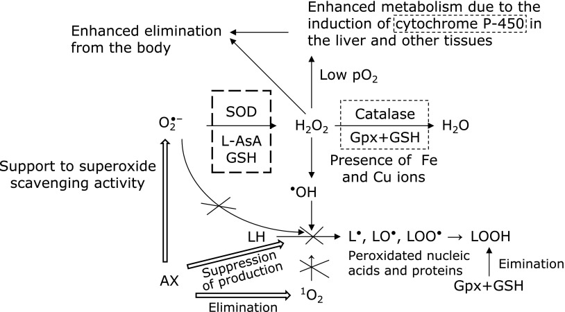 Fig. 5