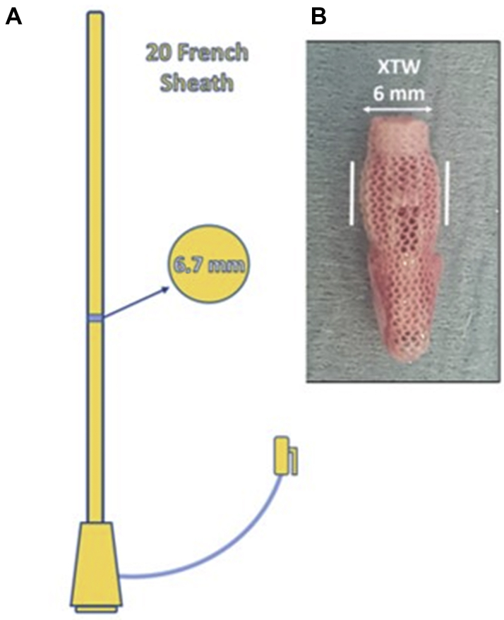 Figure 3