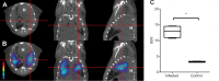 FIG 7