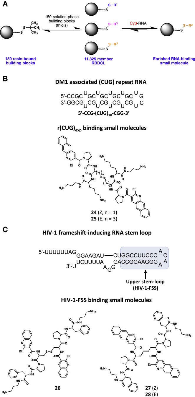 Figure 5