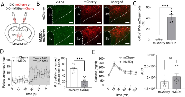 Figure 3