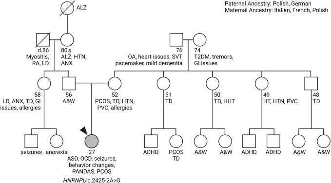 FIGURE 1