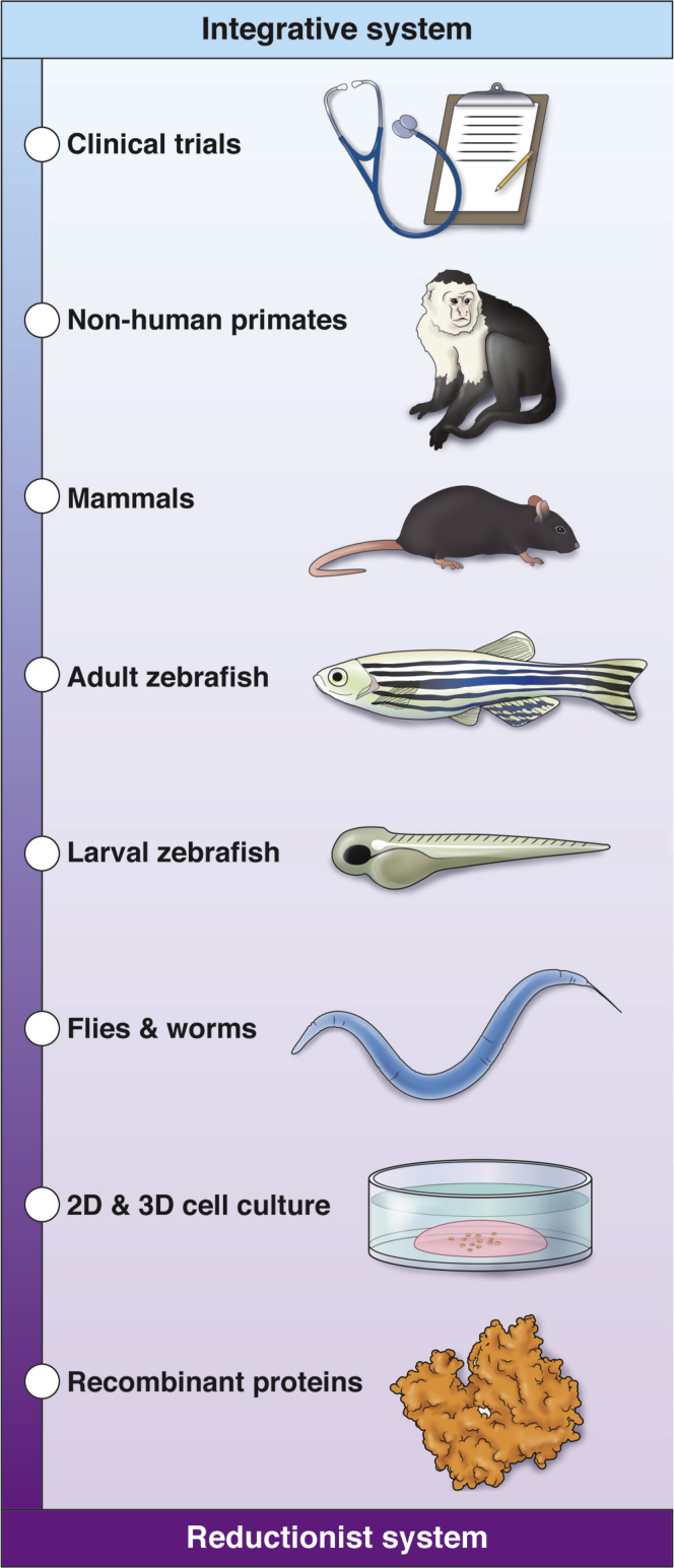 Figure 1