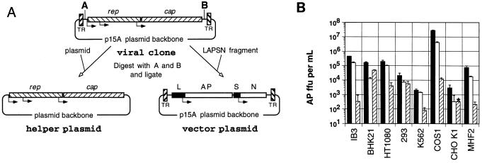 FIG. 6