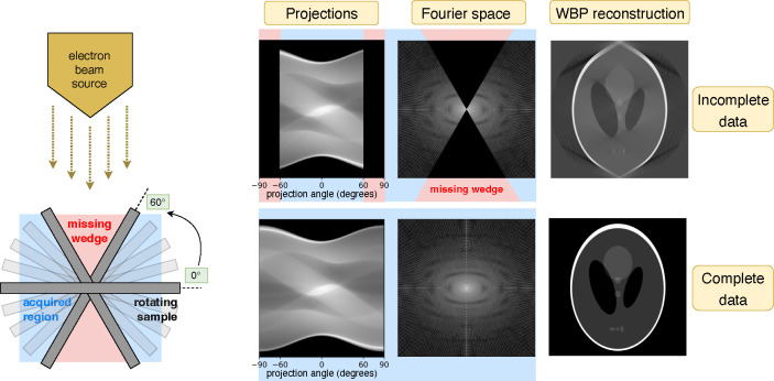 Figure 1 |