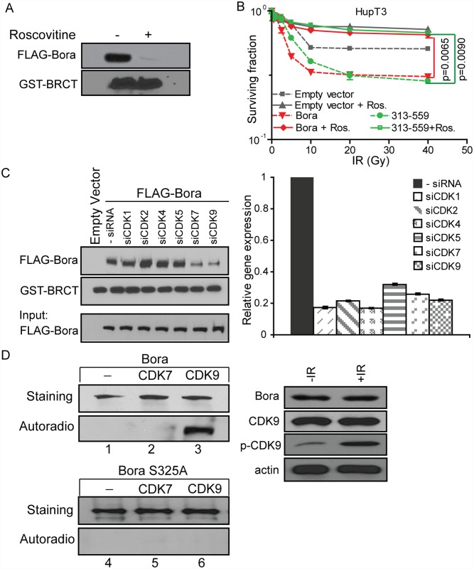 Fig 6