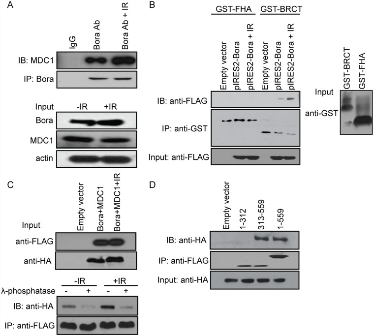 Fig 4