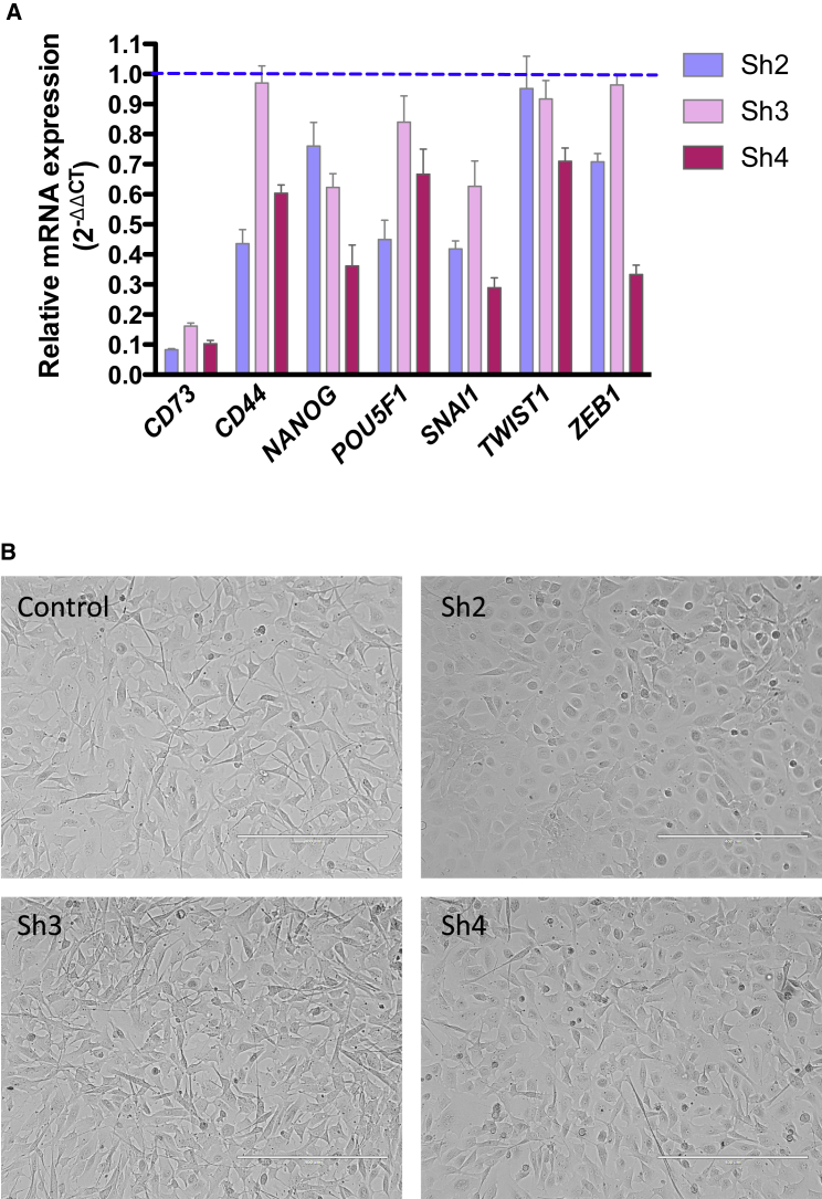 Figure 6