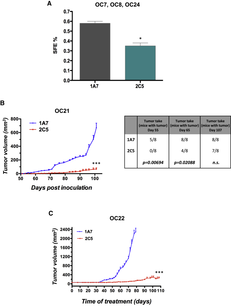 Figure 5