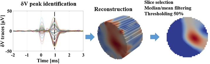 Fig. 3