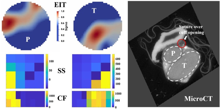 Fig. 7