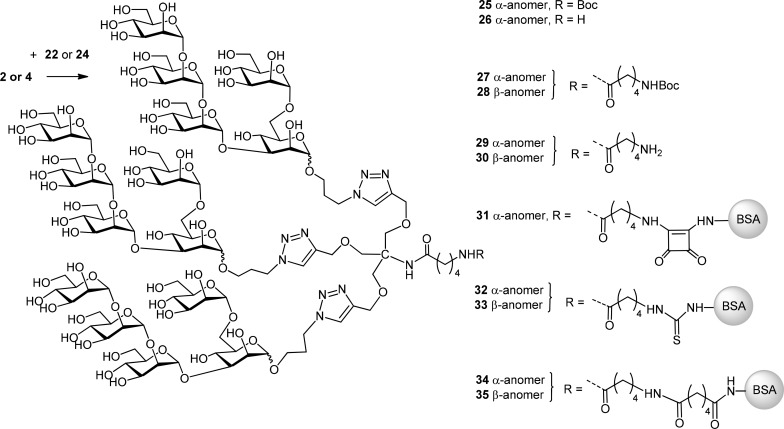 Scheme 6