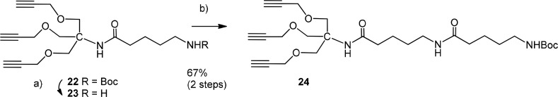 Scheme 5