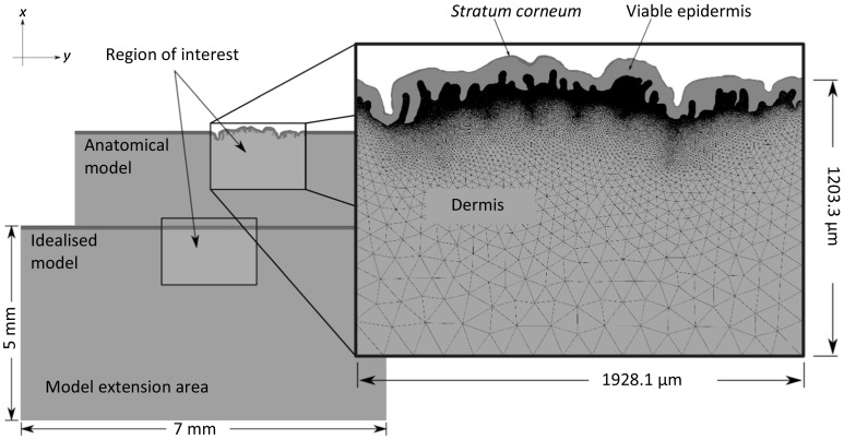 Fig. 1