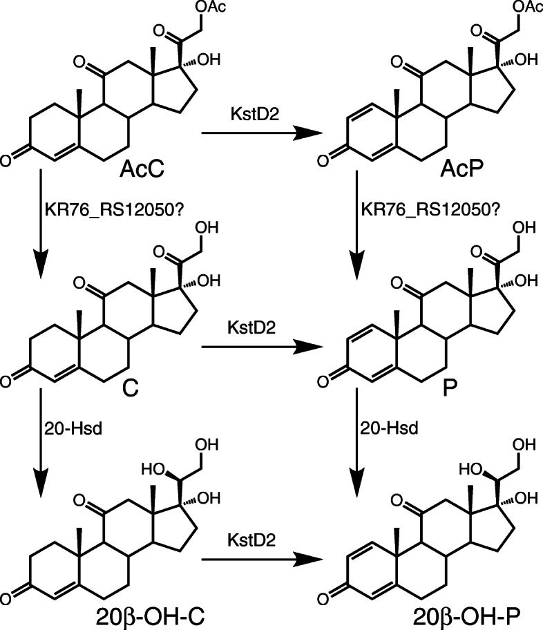 Fig. 8