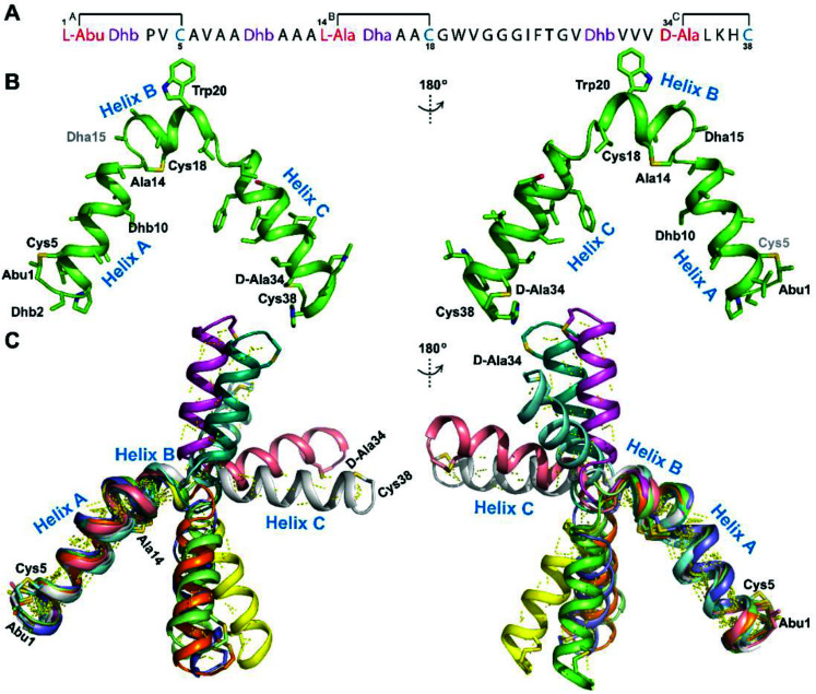 Fig. 12