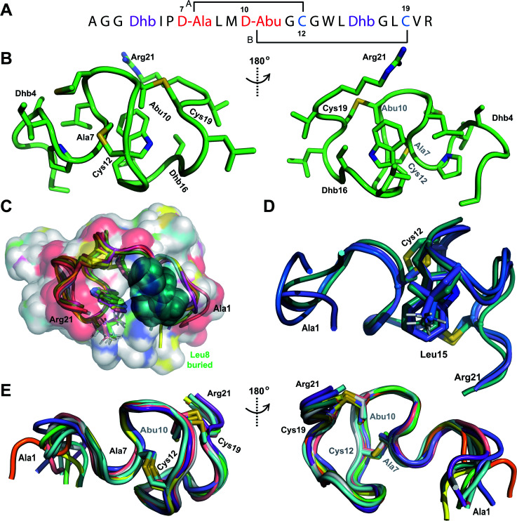 Fig. 2