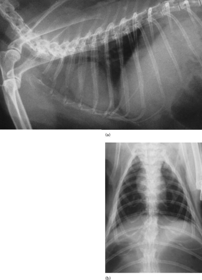 Figure 13.3