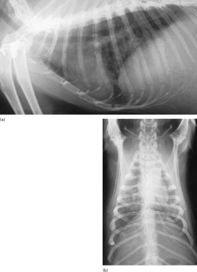 Figure 13.4