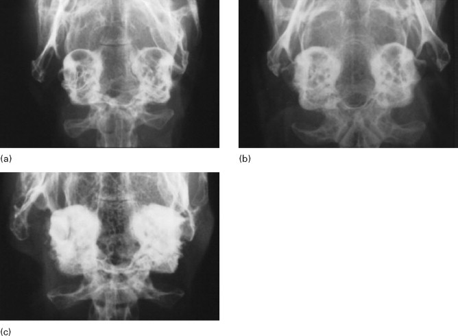 Figure 13.2
