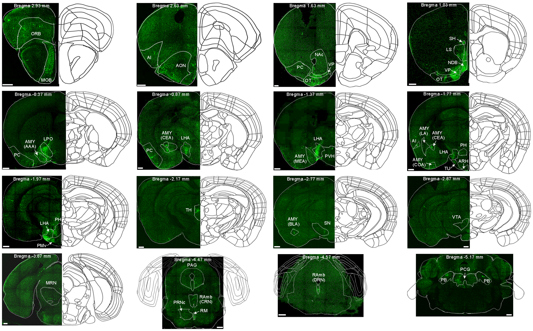 Extended Data Fig. 4