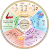 Image, graphical abstract