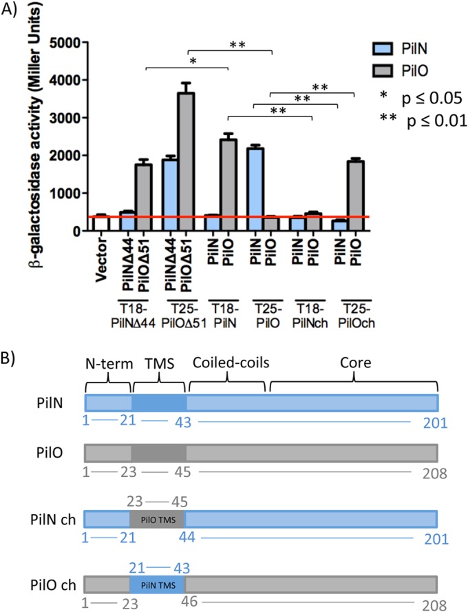 FIG 2