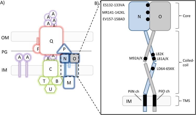 FIG 1