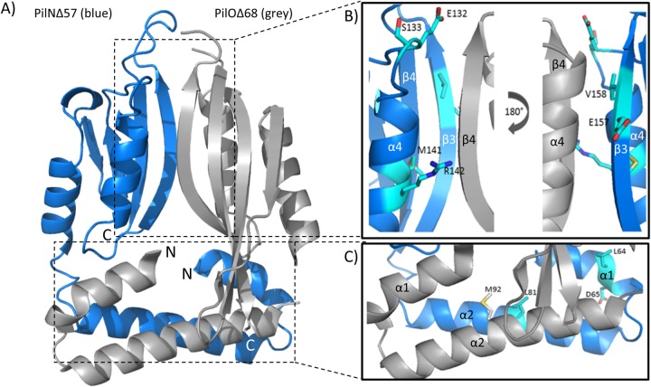 FIG 3