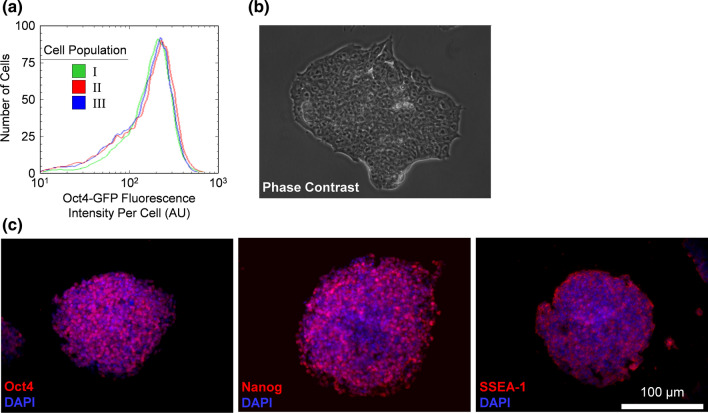 Figure 7