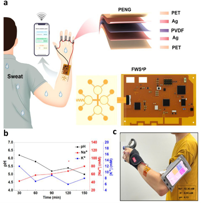 Figure 28