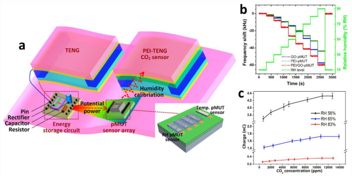 Figure 21