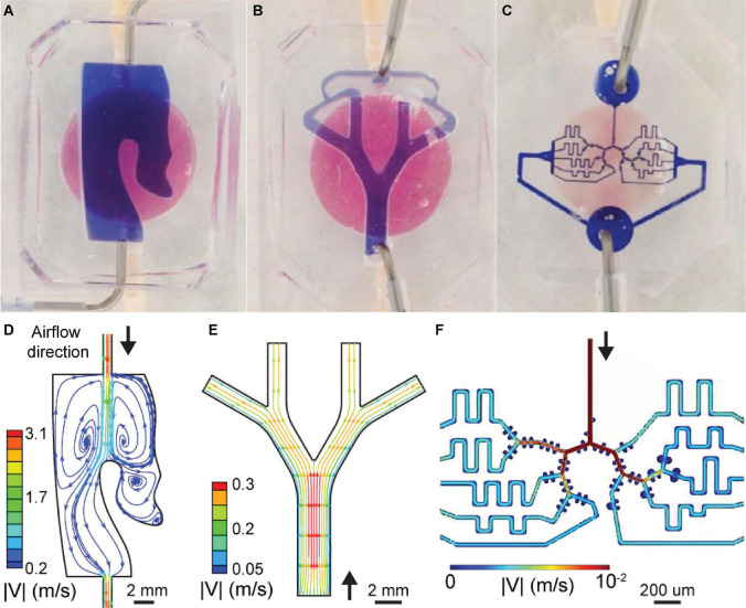 FIGURE 3