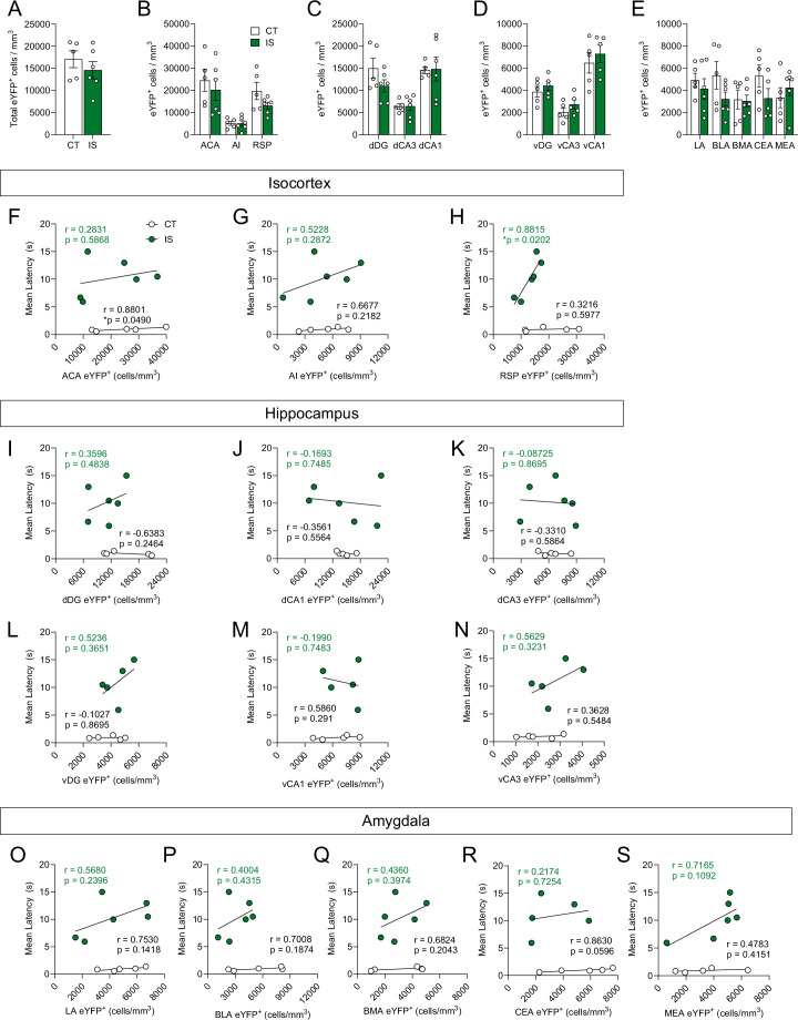 Figure 3—figure supplement 1.