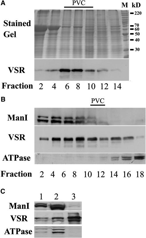 Figure 12.