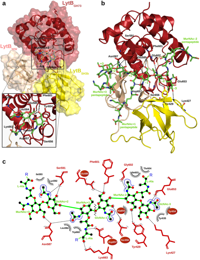 Figure 5