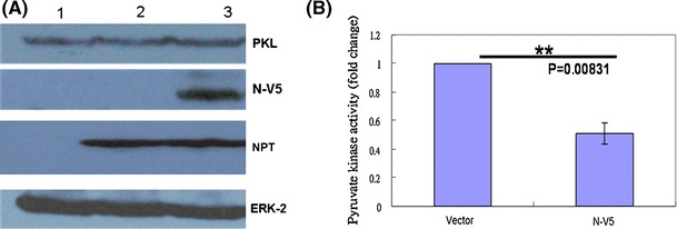 Fig. 6