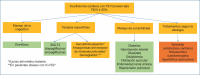Figura 5