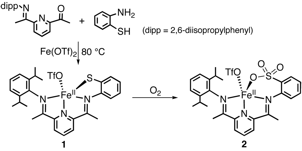 Scheme 1