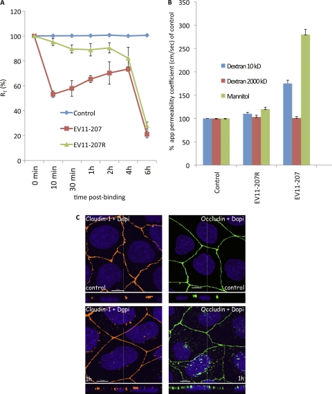 Fig. 8.