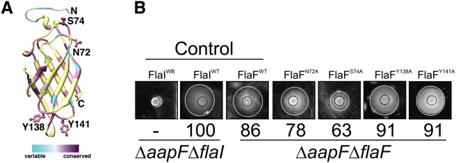 Figure 5