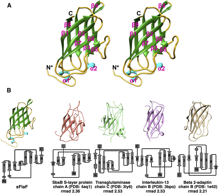 Figure 2