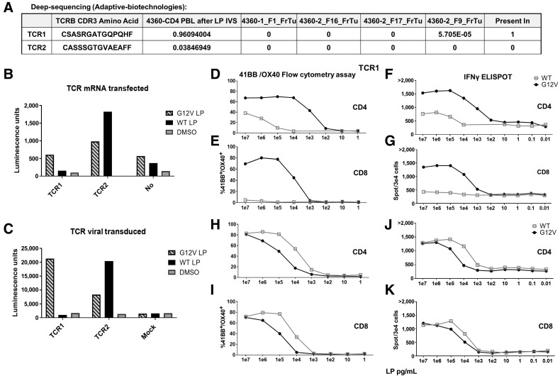 Figure 4. 4360 TCRs recognized RAS hotspot mutation: validation, avidity, and reactivity. A–K, Two TCRs (TCR1, TCR2) identified from patient 4360 CD4 PBL after LP IVS single-cell sequencing. A, Deep sequencing (Adaptive Biotechnologies) of DNA extracts from four tumor fragments (FrTu) revealed TCR1 existed in one of these fragments (5.7 repeats in 100,000 cells) while TCR2 did not exist in any. B, Both TCRs were mRNA transfected or C, virally transduced into a Jurkat-CD4-NFAT-Luciferase cell line and then cocultured with DC loaded with RASG12V/RASWT LP or the equivalent amount of DMSO. Luciferase activity was measured and presented in Luminescence units. TCR1 (D–G) and TCR2 (H–K) were virally transduced into patient 4360 PBLs. The cells were enriched to CD3+/CD4+ cells (D, F, H, J) or enriched to CD3+/CD8+ cells (E, G, I, K). The transduced cells were cocultured with DCs loaded with different concentrations of RASG12V/RASWT LP. TCR avidity in live/CD3+/mTCR+ cells was analyzed by fow cytometry for 41BB/OX40 surface marker upregulation (D, E, H, I) and IFNγ ELISpot (F, G, J, K).