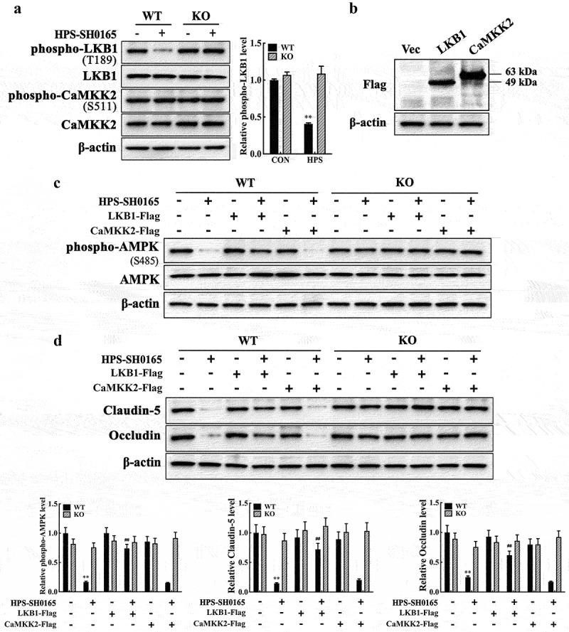 Figure 5.