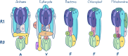 Fig. 2