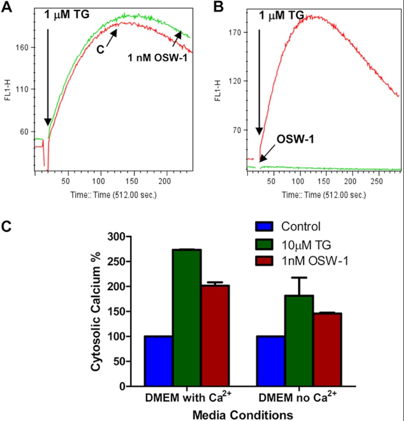 FIGURE 5.