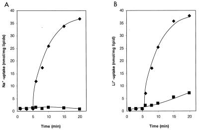 FIG. 6