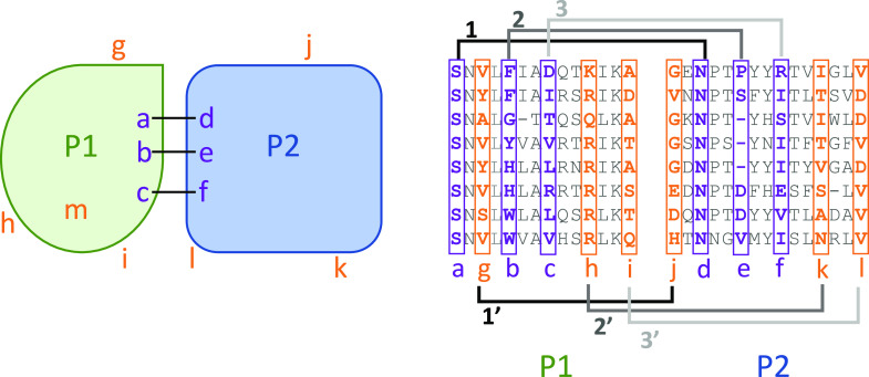 Fig. 1.