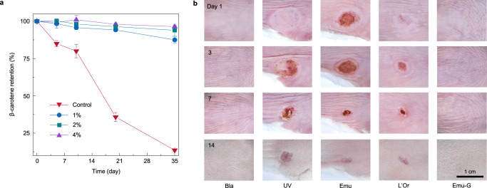 Fig. 4