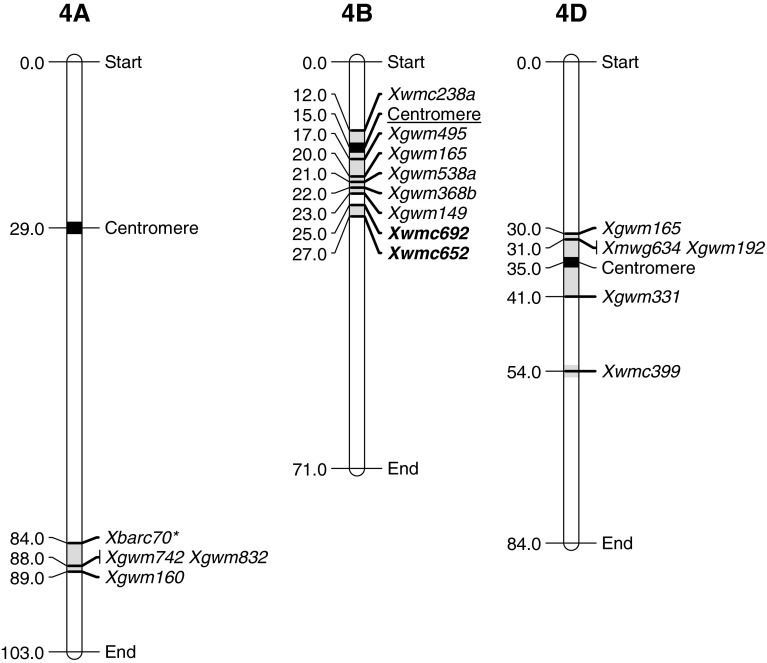 Fig. 4